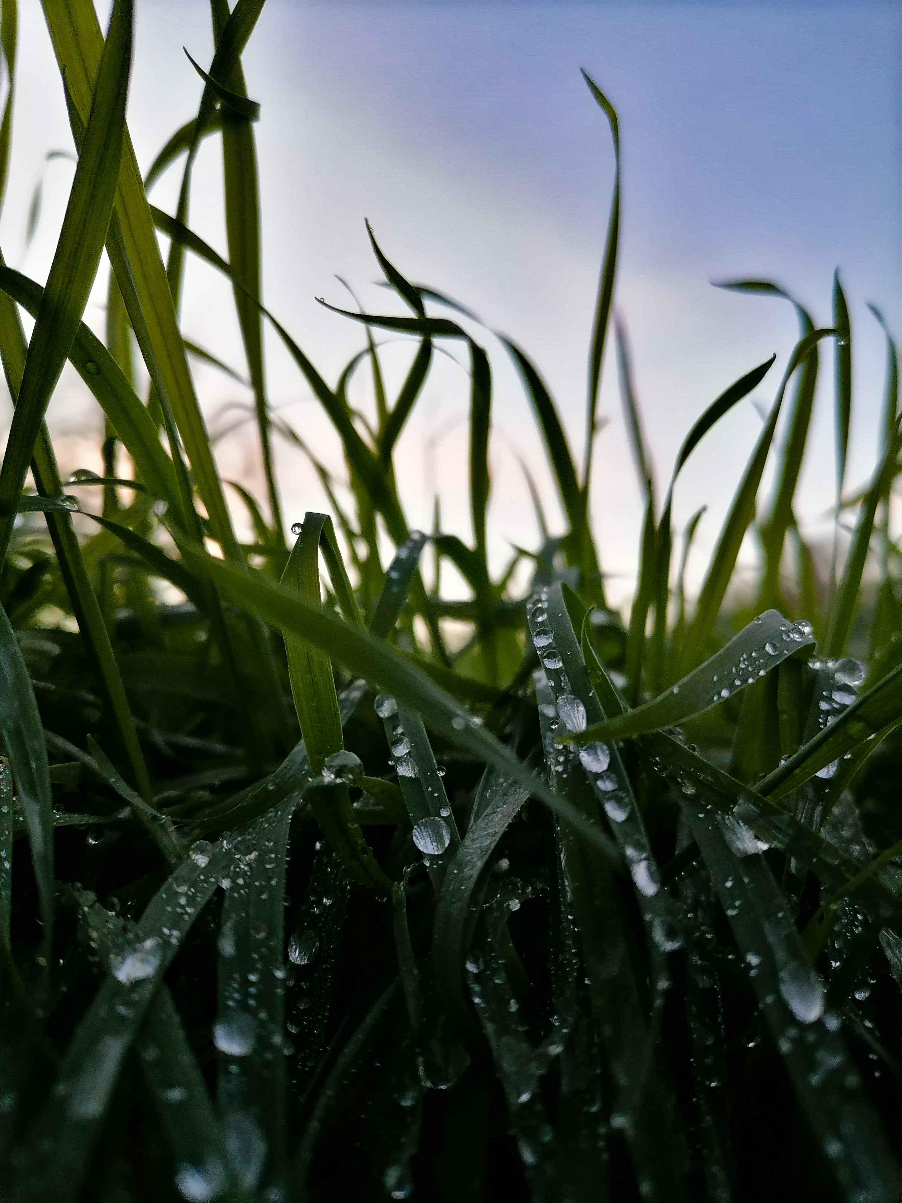 pspanstrongBonjour-à-tous-mes-chers