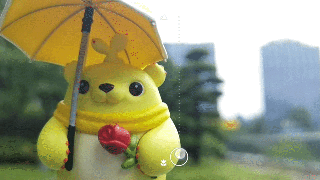 pspan-stylecolorrgb017680Dans-le-mode-de-caméra-par-défaut-vos-images