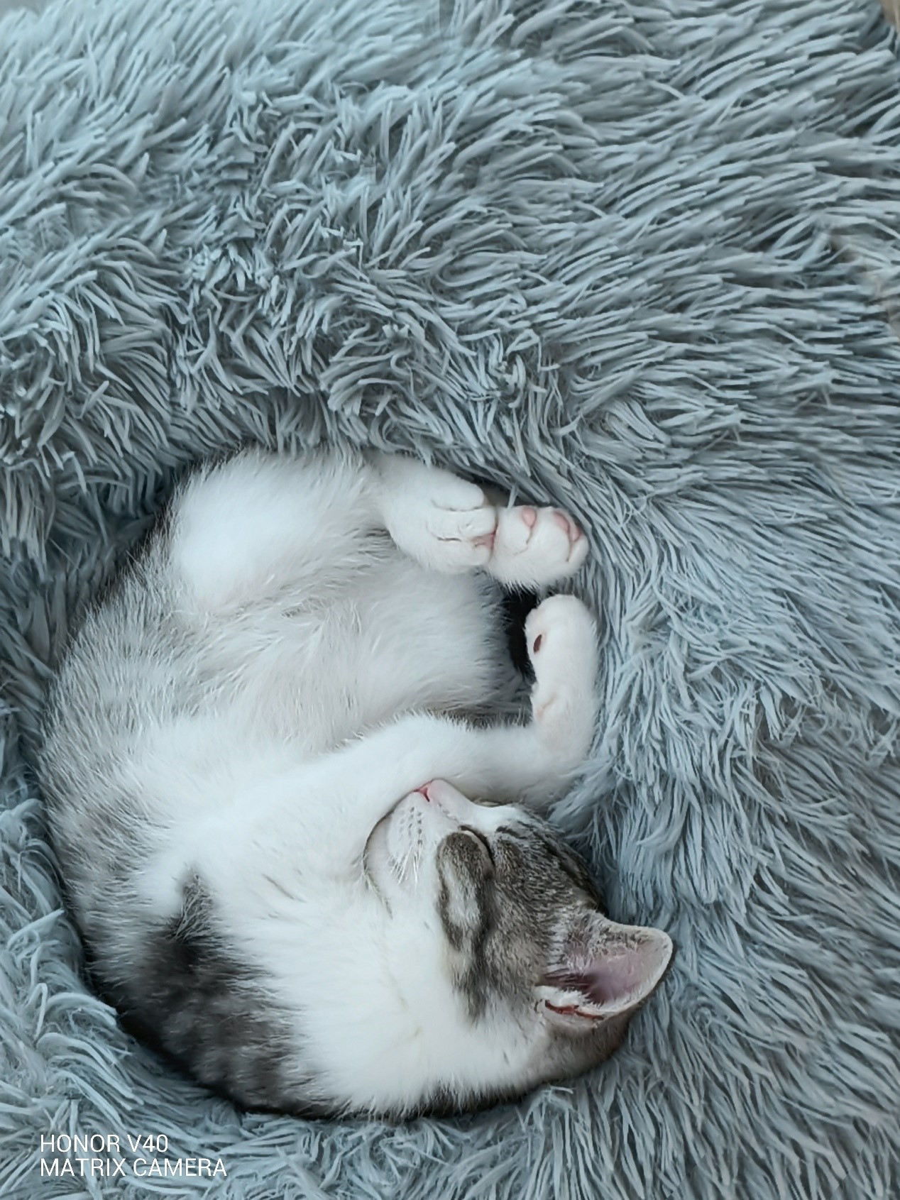 pspanLe-HONOR-V40-est-équipé-de-3-caméras-de-forme-rectangulaire---la