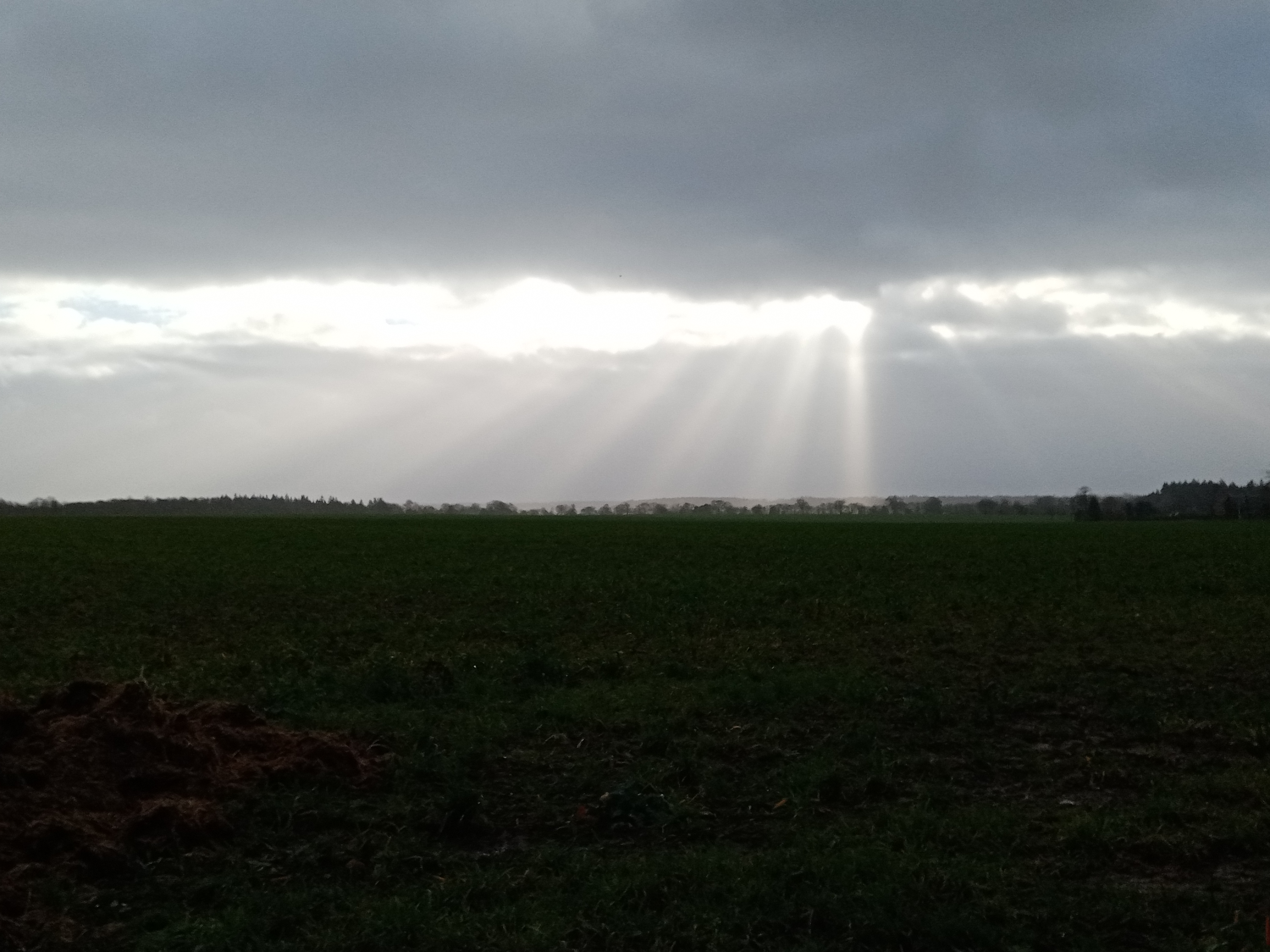 pBonjour-brbrPour-ce-nouveau-concours-Tentez-le-définbsp-Honornbsp-je
