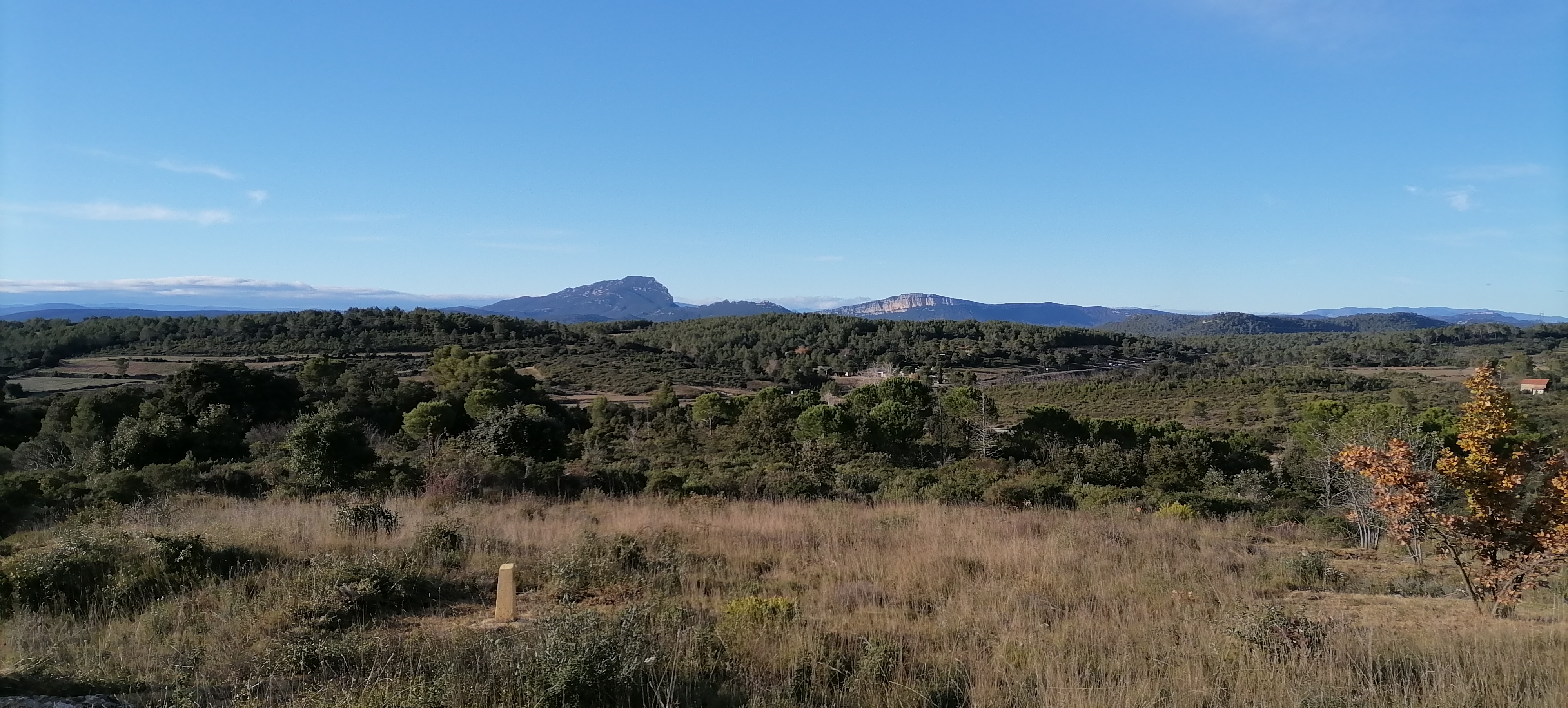 pspanBonjour-aujourdhui-je-vais-vous-parler-des-performances-photos-du