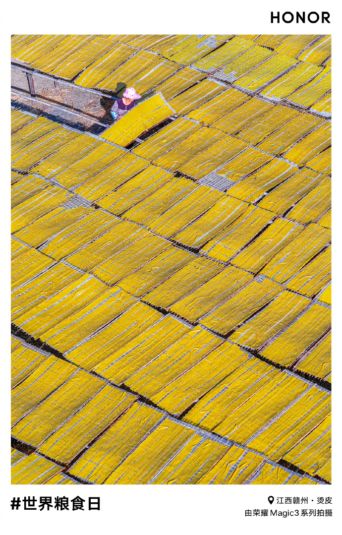 pBonjour-ppbrppMr-Zhao-nous-a-partagé-une-superbe-série-de-photos