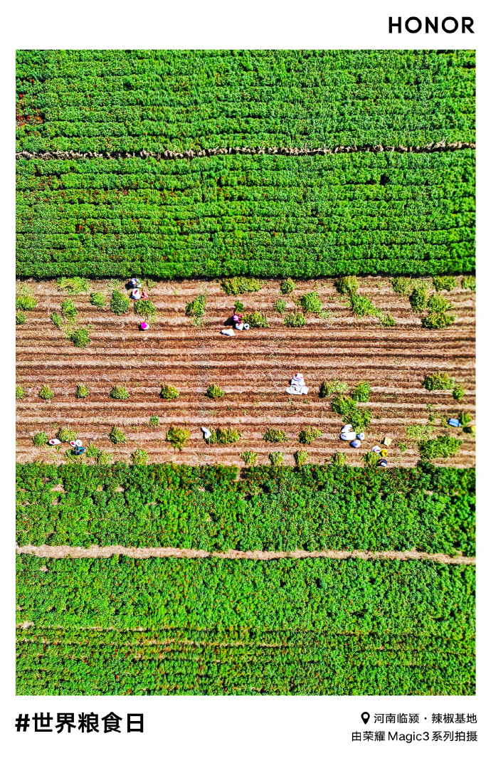 pBonjour-ppbrppMr-Zhao-nous-a-partagé-une-superbe-série-de-photos