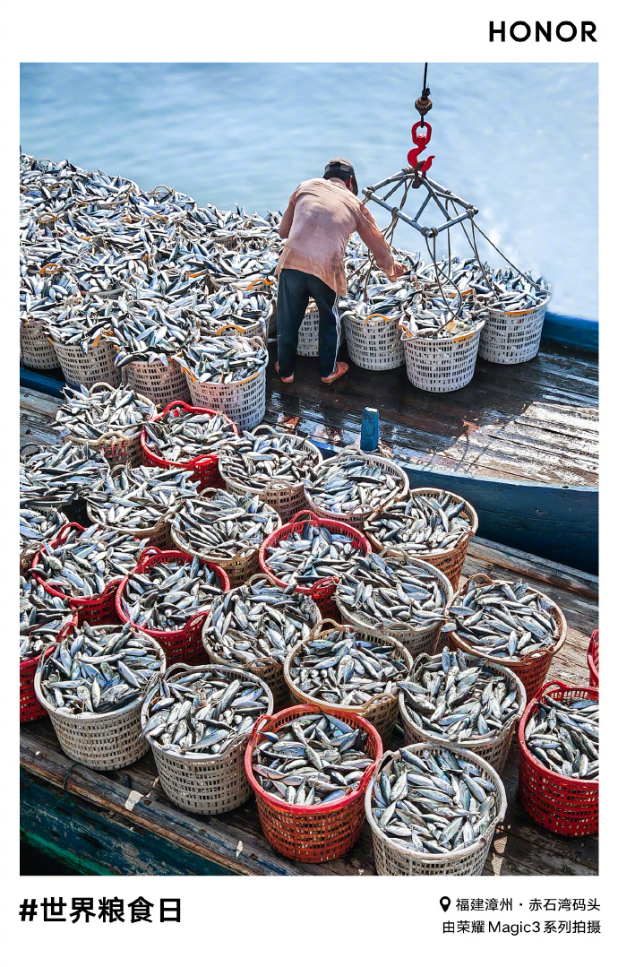 pBonjour-ppbrppMr-Zhao-nous-a-partagé-une-superbe-série-de-photos