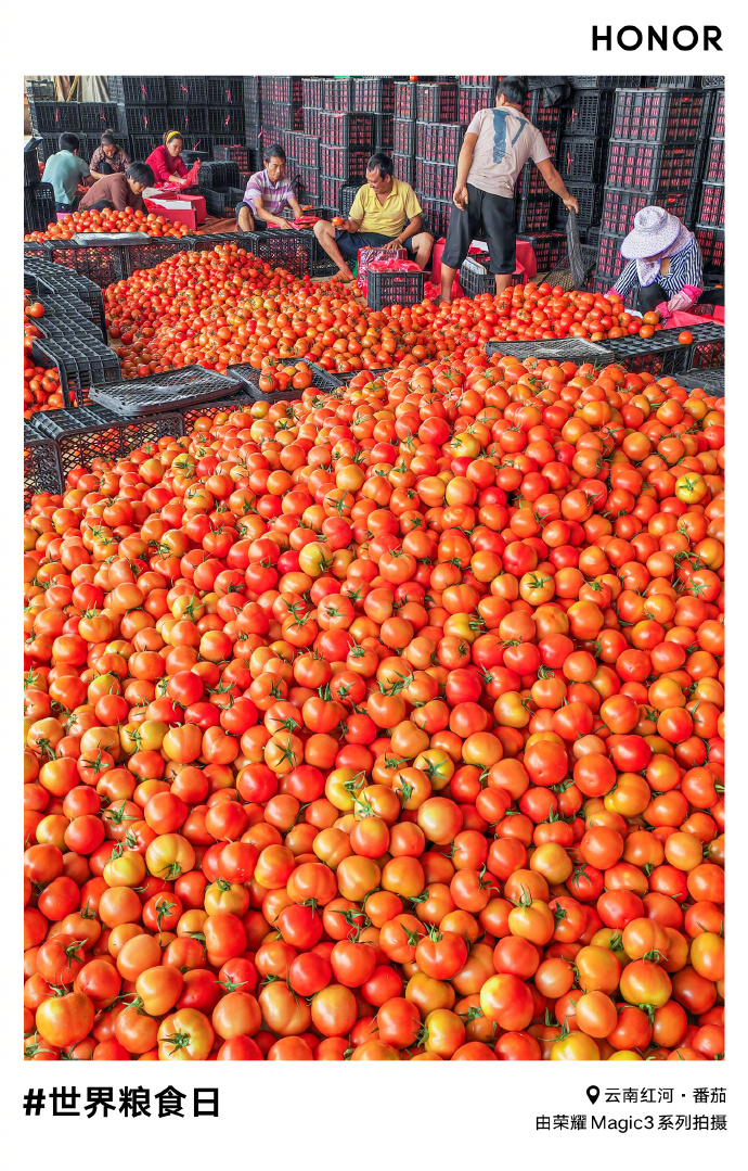 pBonjour-ppbrppMr-Zhao-nous-a-partagé-une-superbe-série-de-photos
