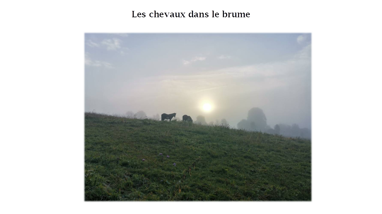 pspanstrongBonsoir-ànbsptousnbspchers-fansstrongspanppspanbrspanppspan