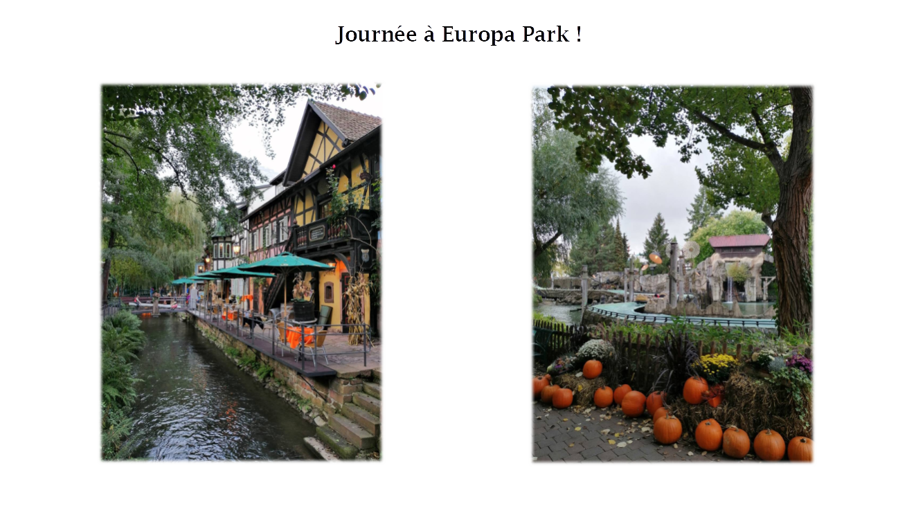 pspanstrongBonsoir-ànbsptousnbspchers-fansstrongspanppspanbrspanppspan