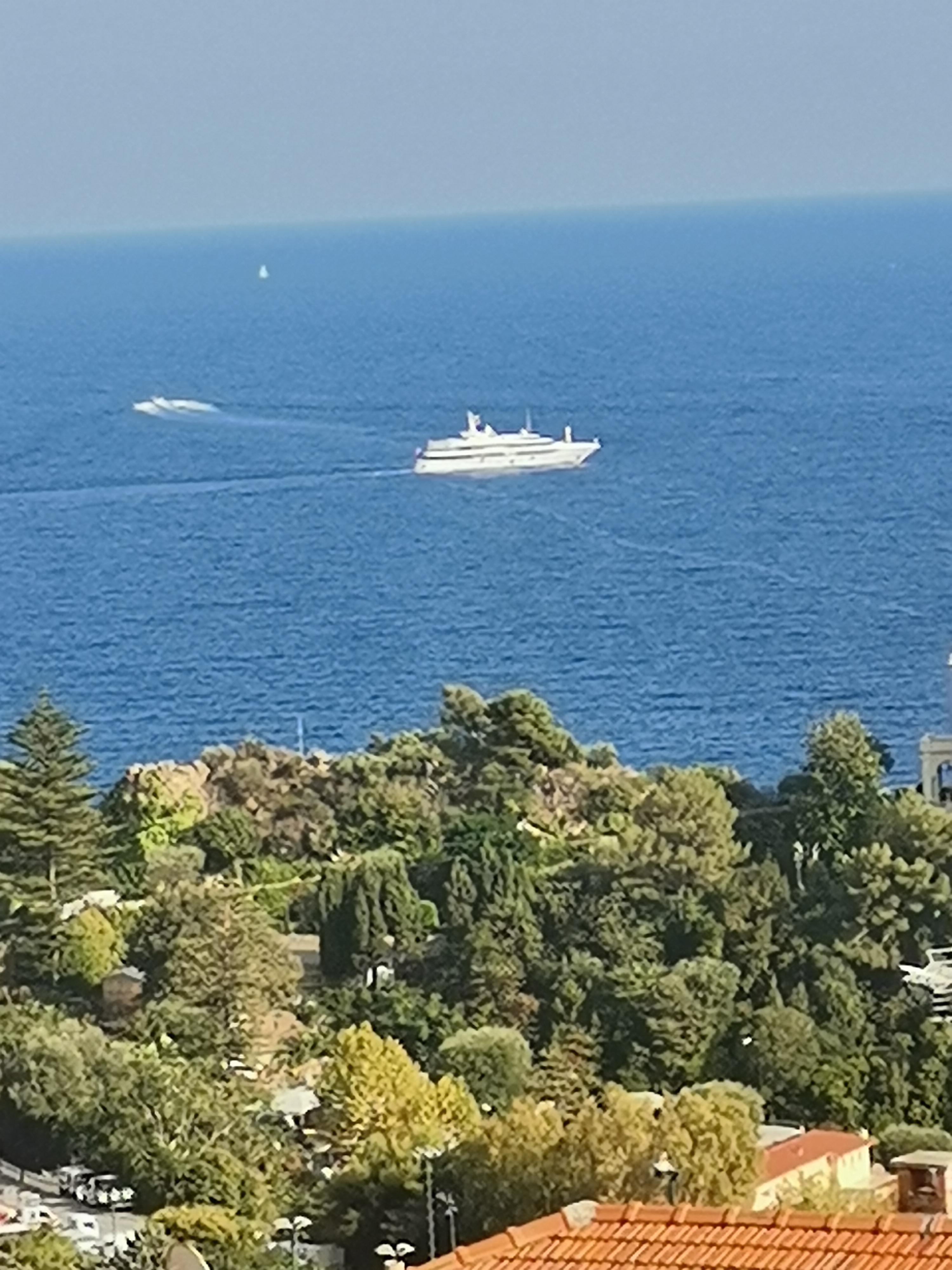 pimg-srchttpsiforum-dechihonorcomfrdataimages20211028cf20dee-a094-444b