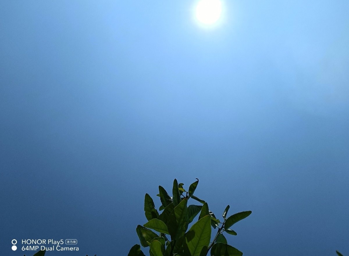 pspan-stylefont-size18pxspanBonjour-à-tous-les-fans-dstrongHONORstrong