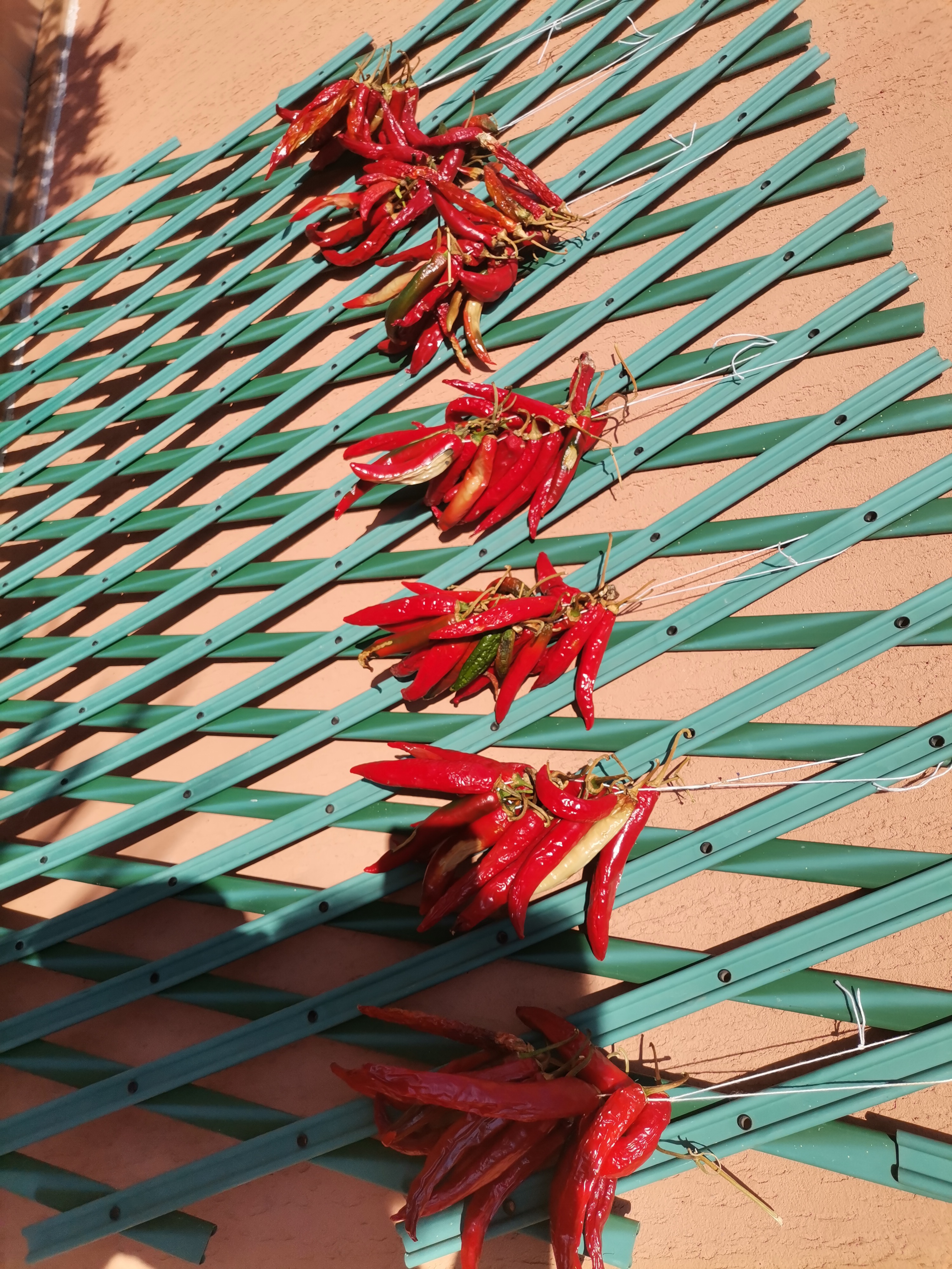 pimg-srchttpsiforum-dechihonorcomfrdataimages202110308494ed1-9954-4679