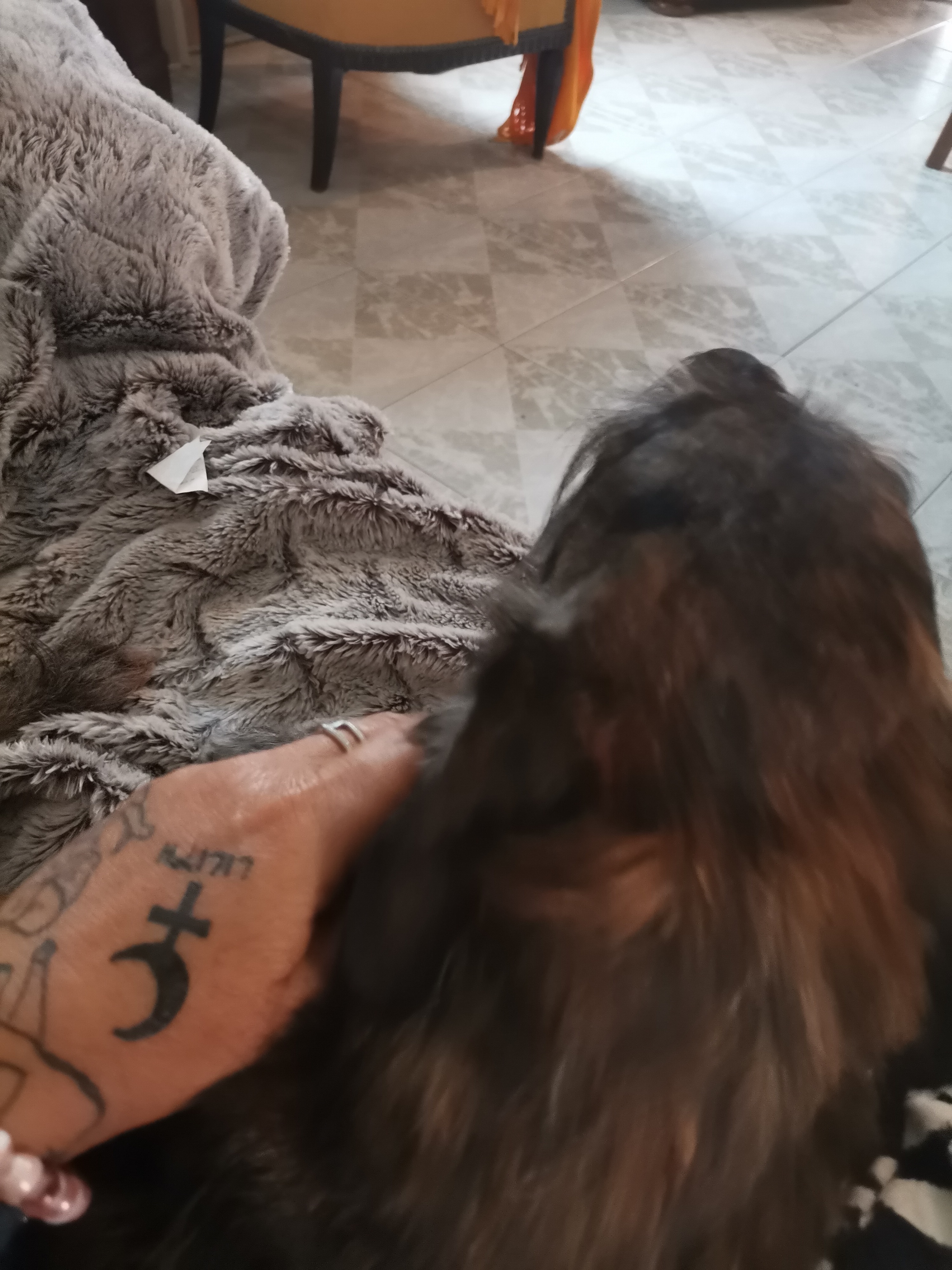 pimg-srchttpsiforum-dechihonorcomfrdataimages20211038a9293d1-547c-4fab