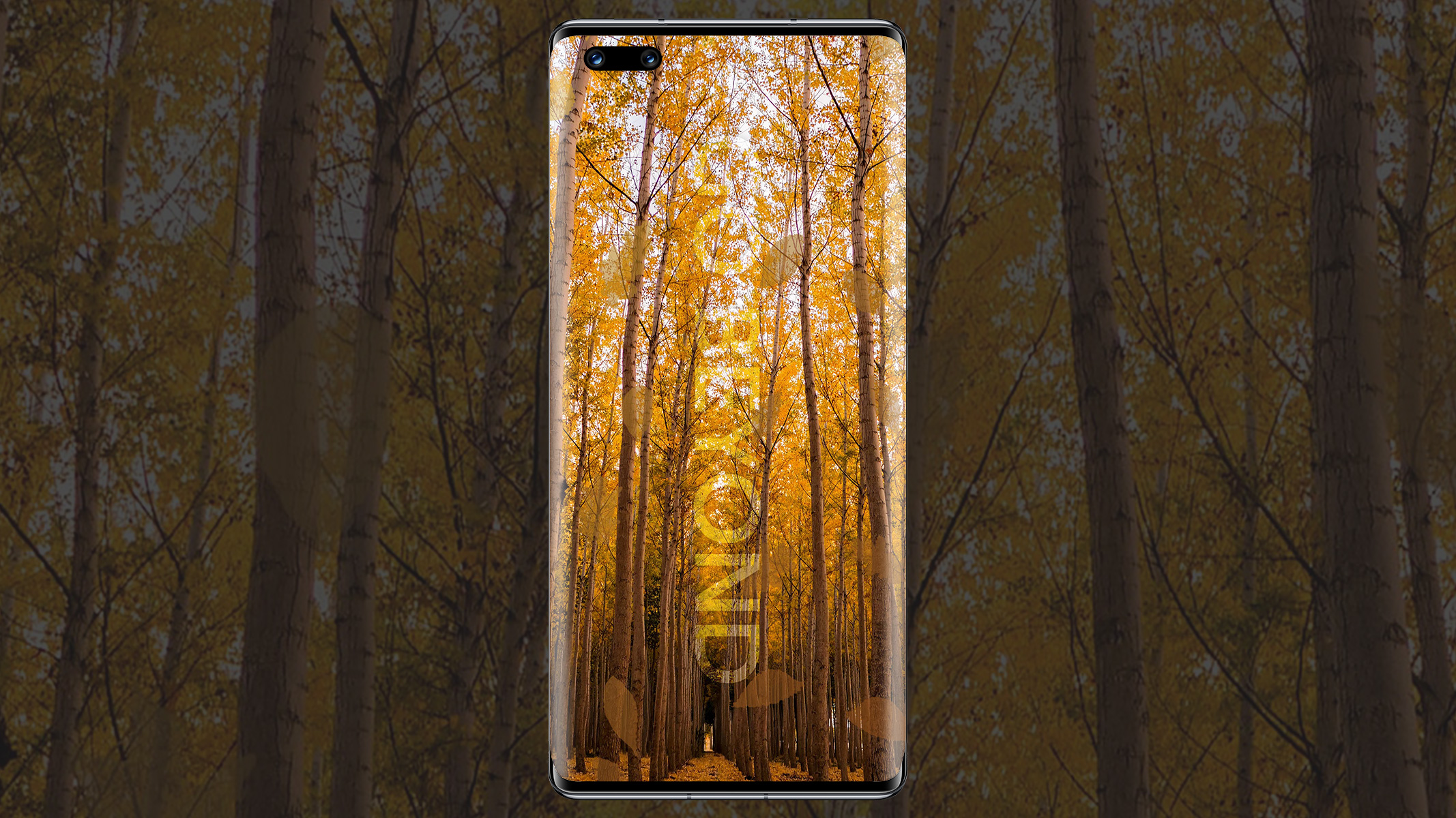 pBonjour-HONOR-FansppCest-vendredi-et-spannotre-designer-Juan-vous-a