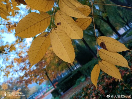 pspan-stylefont-size18pxspanBonjour-à-tous-les-fans-dHONOR