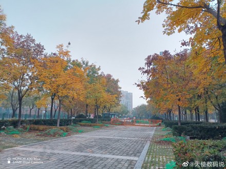 pspan-stylefont-size18pxspanBonjour-à-tous-les-fans-dHONOR