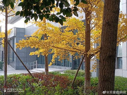 pspan-stylefont-size18pxspanBonjour-à-tous-les-fans-dHONOR