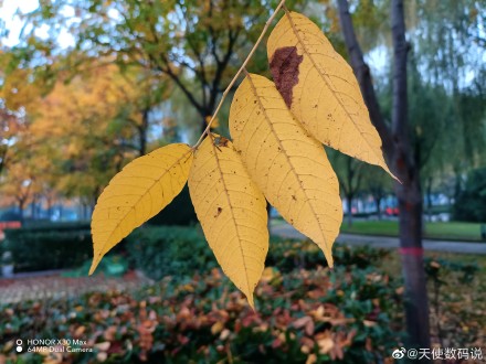 pspan-stylefont-size18pxspanBonjour-à-tous-les-fans-dHONOR