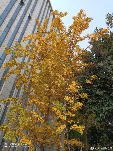 pspan-stylefont-size18pxspanBonjour-à-tous-les-fans-dHONOR