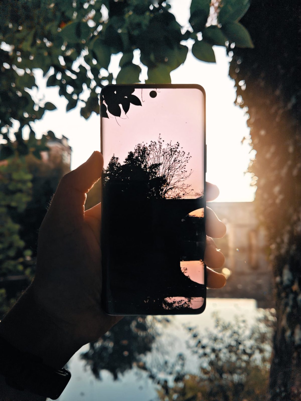 pstrongHONOR-Francestrong-et-stronga-hrefhttpswwwfisheyemagazinefr