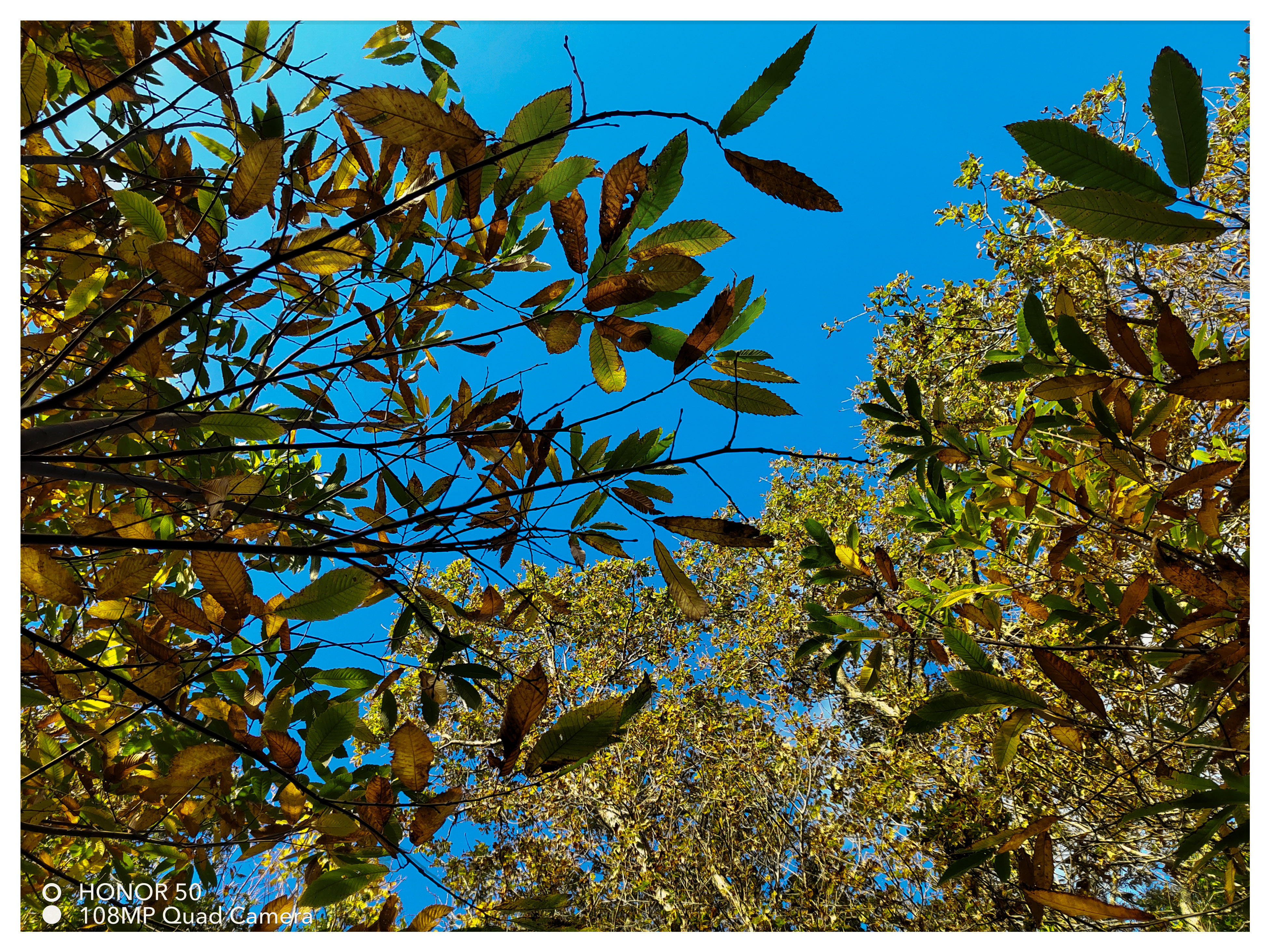 pspanstrongBonsoir-ànbsptousnbspchers