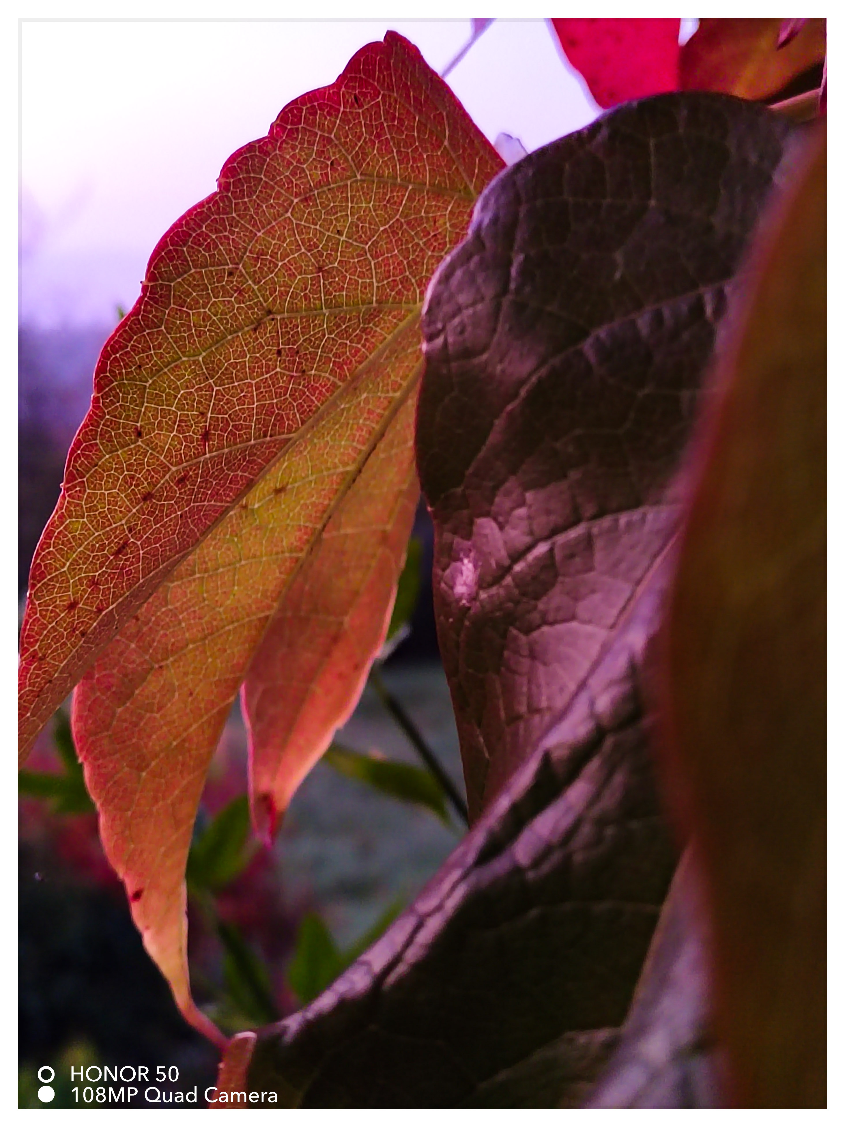 pspanstrongBonsoir-ànbsptousnbspchers