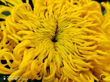 pBonjourppbrppAujourdhui-je-vous-propose-des-photos-récupérées-sur