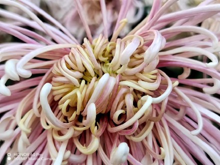 pBonjourppbrppAujourdhui-je-vous-propose-des-photos-récupérées-sur