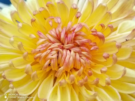 pBonjourppbrppAujourdhui-je-vous-propose-des-photos-récupérées-sur