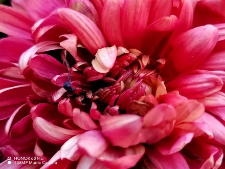 pBonjourppbrppAujourdhui-je-vous-propose-des-photos-récupérées-sur