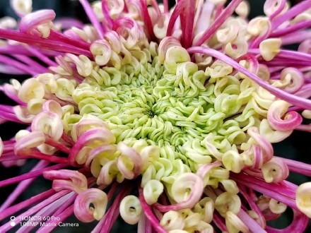 pBonjourppbrppAujourdhui-je-vous-propose-des-photos-récupérées-sur