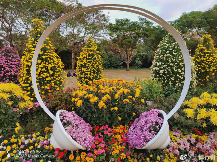 pBonjourppbrppAujourdhui-je-vous-propose-des-photos-récupérées-sur