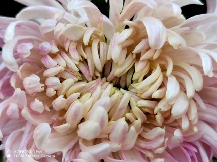 pBonjourppbrppAujourdhui-je-vous-propose-des-photos-récupérées-sur