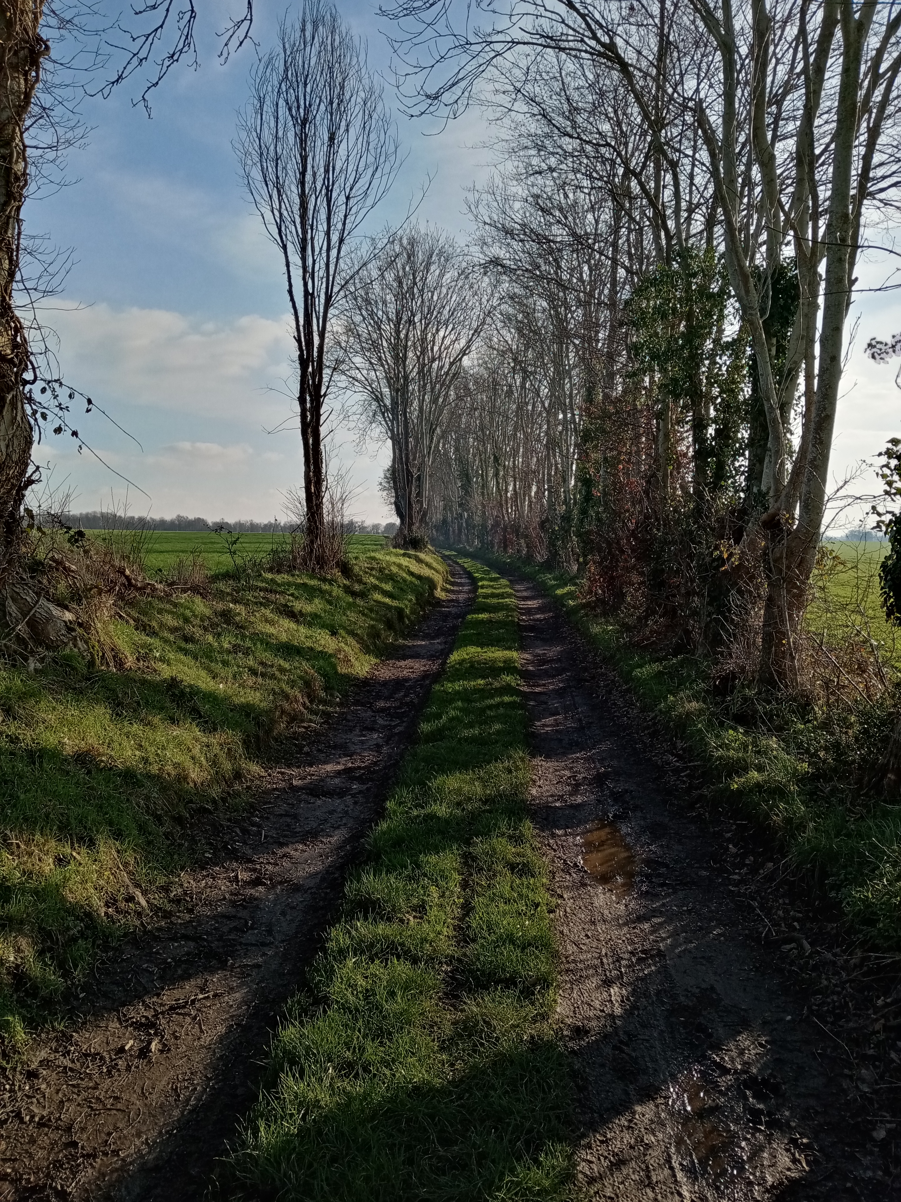 pBonjour-brbrPour-ce-nouveau-concours-Tentez-le-définbsp-Honornbsp-je