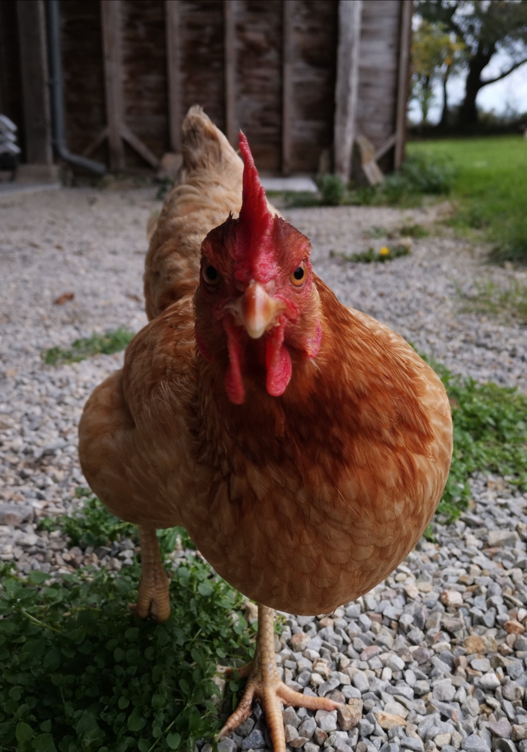 pCest-lheure-des-résultats-La-semaine-dernière-nous-vous-proposions-a