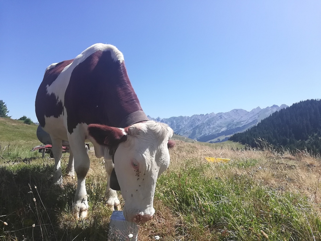 pCest-lheure-des-résultats-La-semaine-dernière-nous-vous-proposions-a
