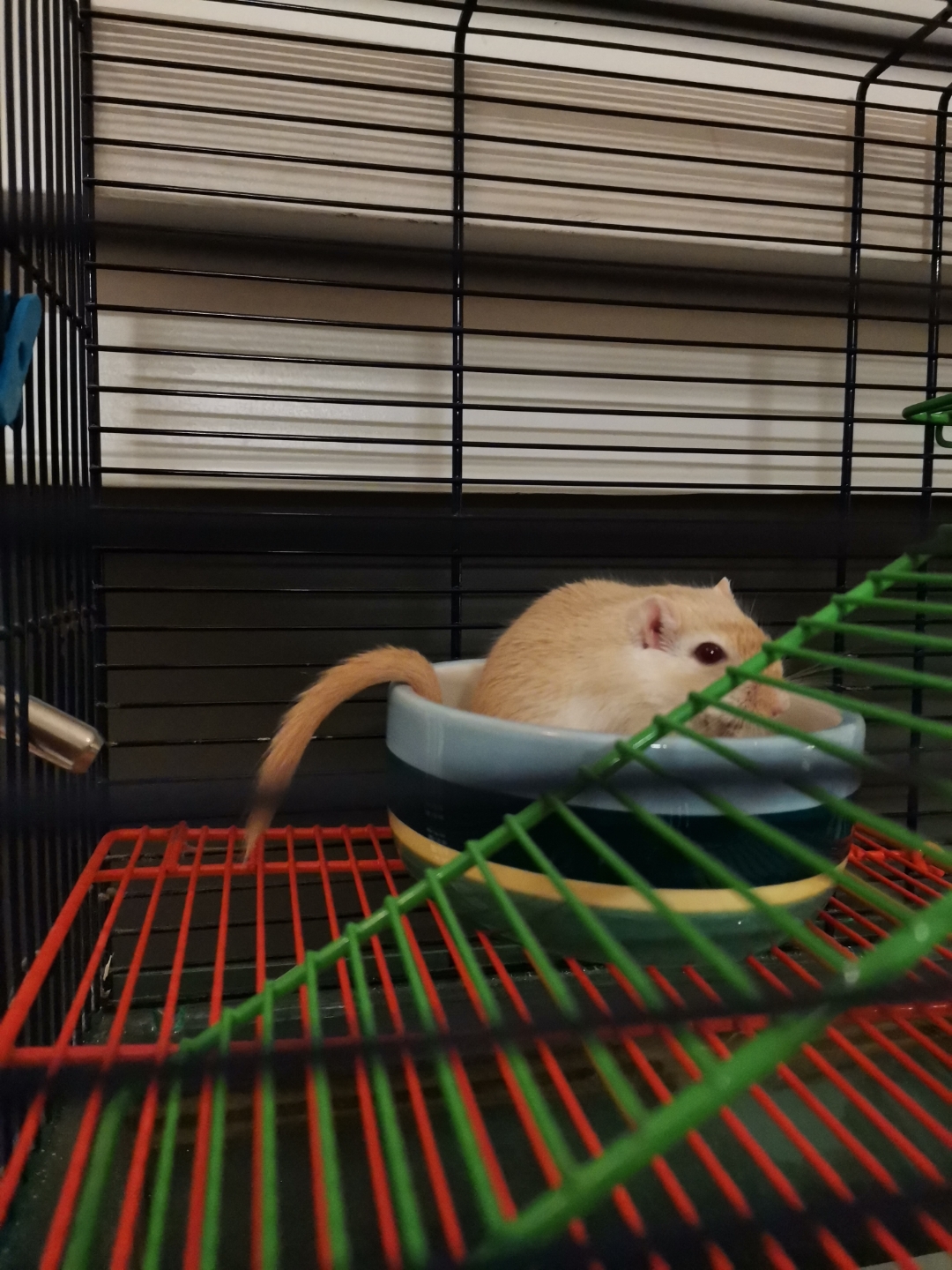 pCest-lheure-des-résultats-La-semaine-dernière-nous-vous-proposions-a