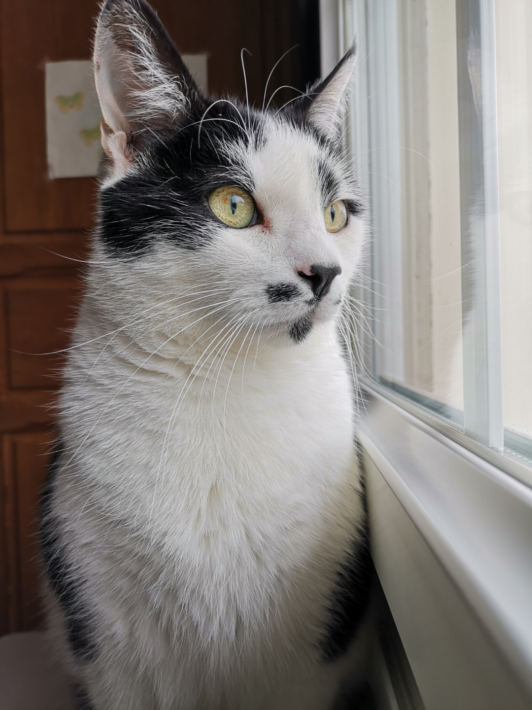 pCest-lheure-des-résultats-La-semaine-dernière-nous-vous-proposions-a