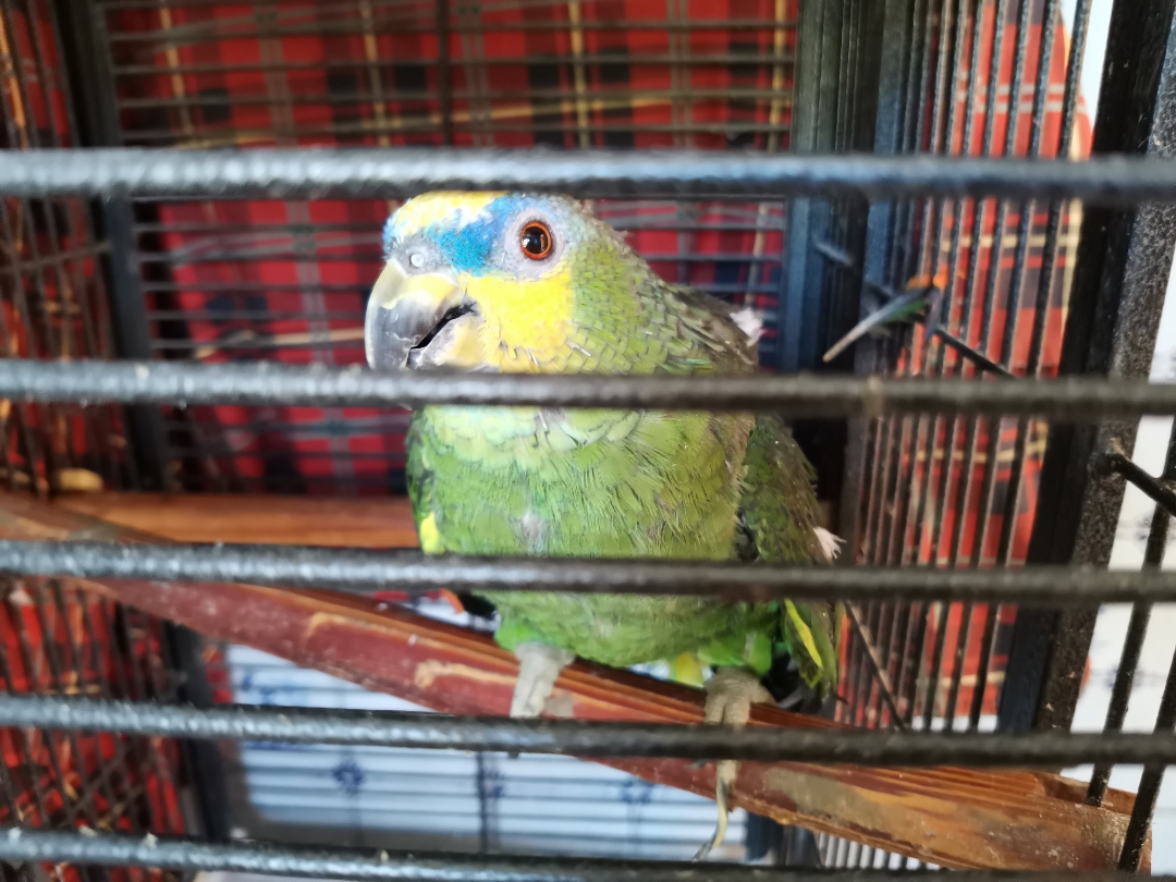 pCest-lheure-des-résultats-La-semaine-dernière-nous-vous-proposions-a