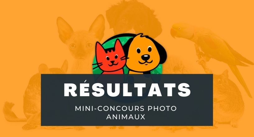 pCest-lheure-des-résultats-La-semaine-dernière-nous-vous-proposions-a