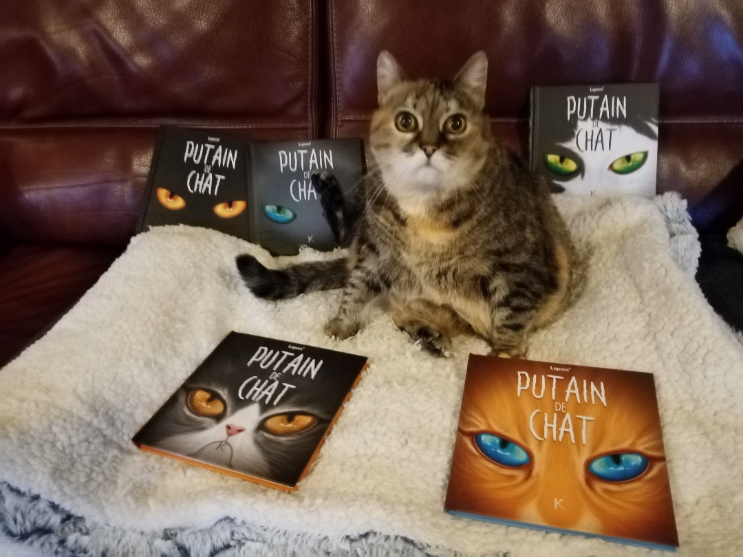 pCest-lheure-des-résultats-La-semaine-dernière-nous-vous-proposions-a