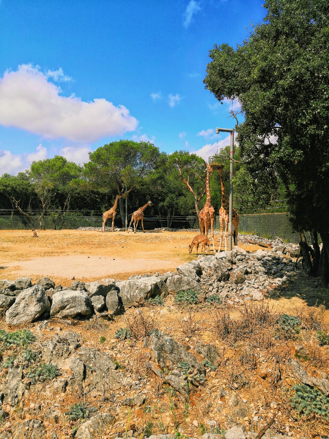 pCest-lheure-des-résultats-La-semaine-dernière-nous-vous-proposions-a