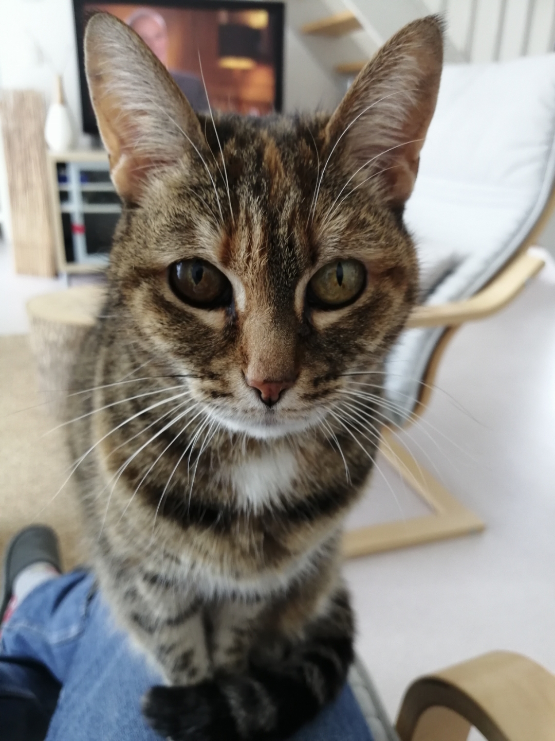 pCest-lheure-des-résultats-La-semaine-dernière-nous-vous-proposions-a