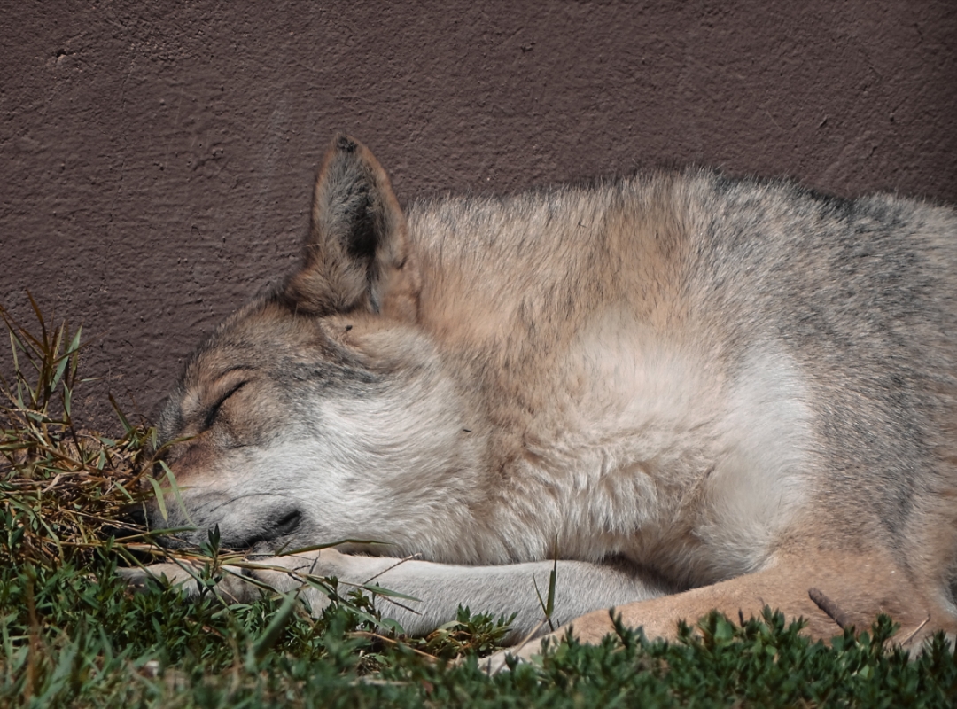 pCest-lheure-des-résultats-La-semaine-dernière-nous-vous-proposions-a