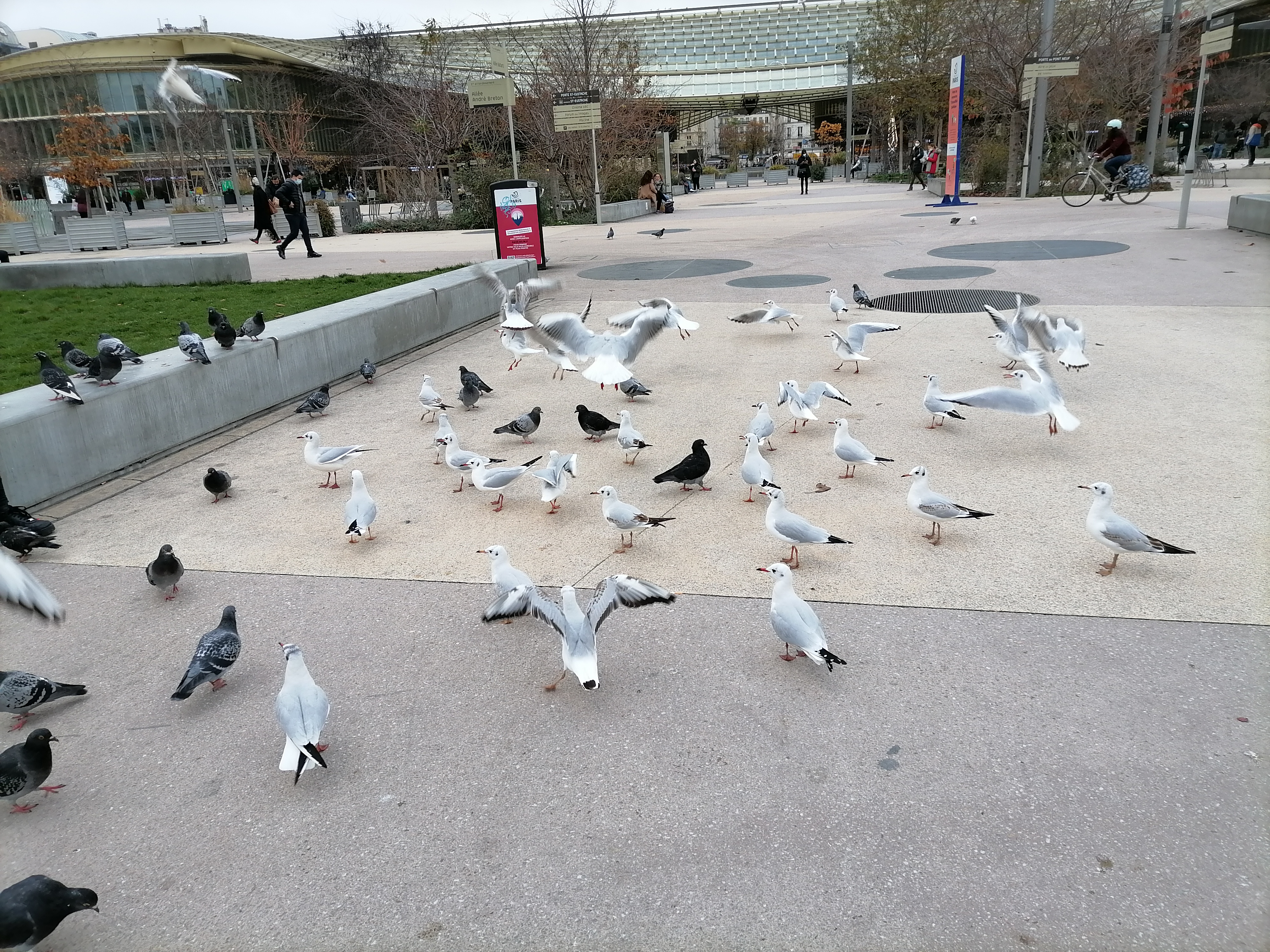 pimg-srchttpsiforum-dechihonorcomfrdataimages202121450803bb4-99b1-4a82