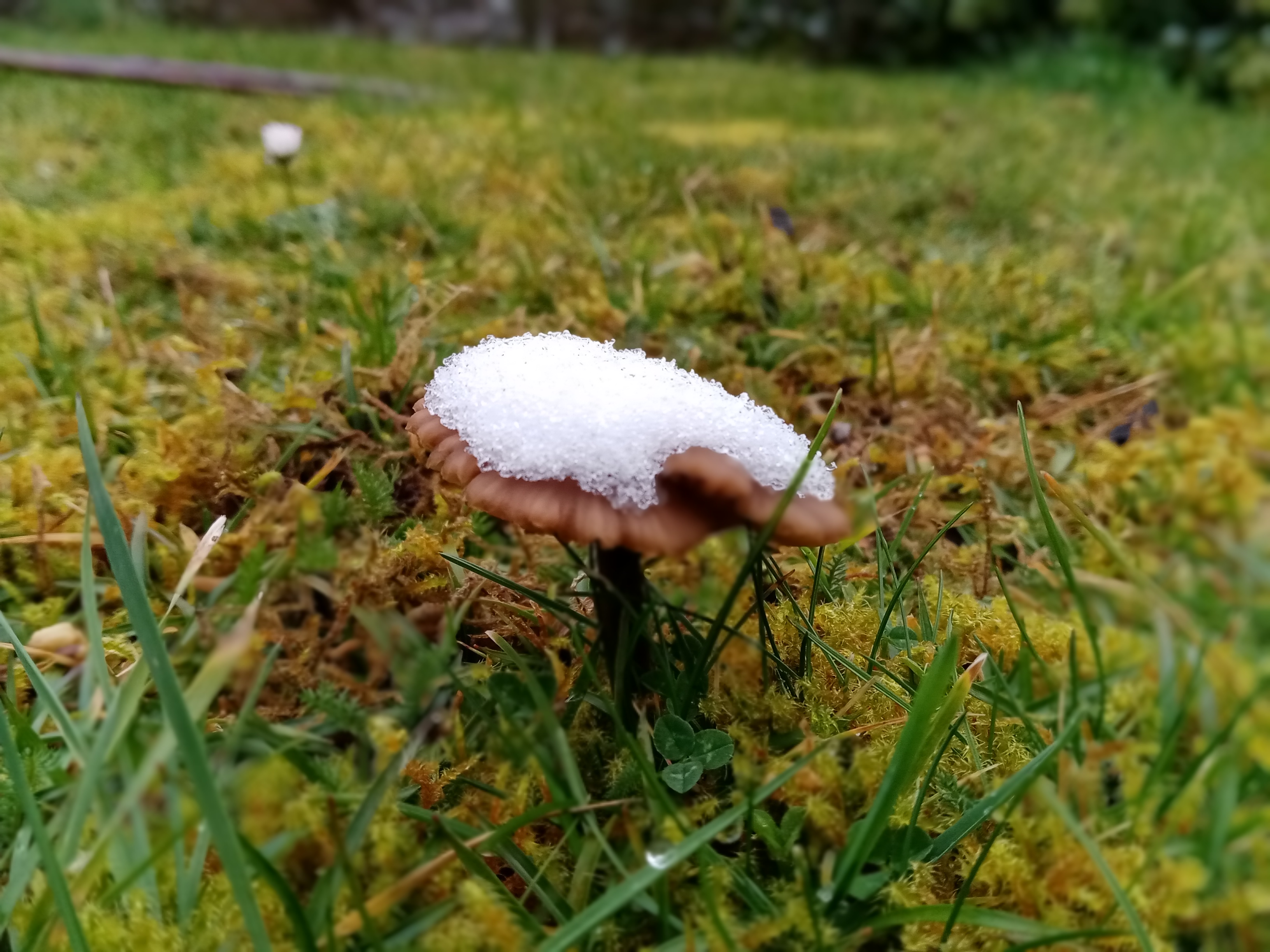 pLa-semaine-dernière-a-été-riche-en-photos-em-partie-grâce-à-notre