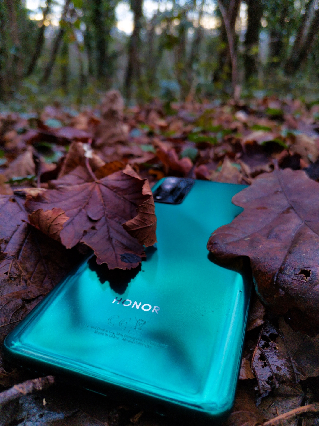 pLa-semaine-dernière-a-été-riche-en-photos-em-partie-grâce-à-notre