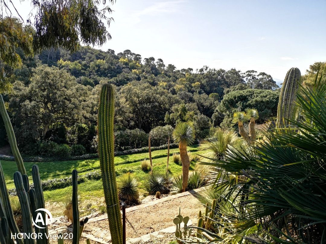 pLa-semaine-dernière-a-été-riche-en-photos-em-partie-grâce-à-notre