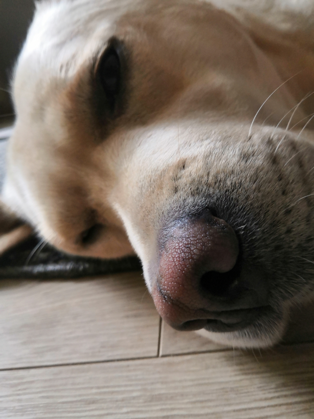 pLa-semaine-dernière-a-été-riche-en-photos-em-partie-grâce-à-notre