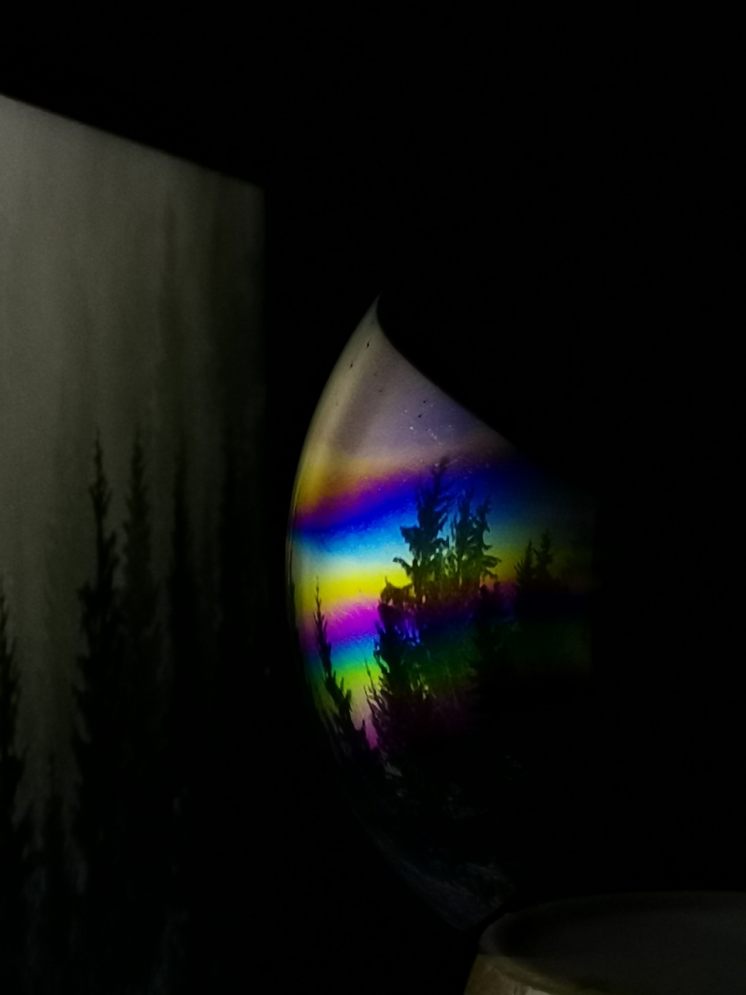 pLa-semaine-dernière-a-été-riche-en-photos-em-partie-grâce-à-notre