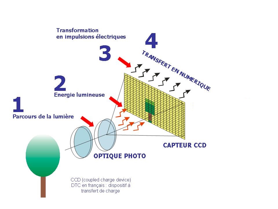 pspan-stylefont-size18pxspanBonjour-à-tous-les-Fan-de