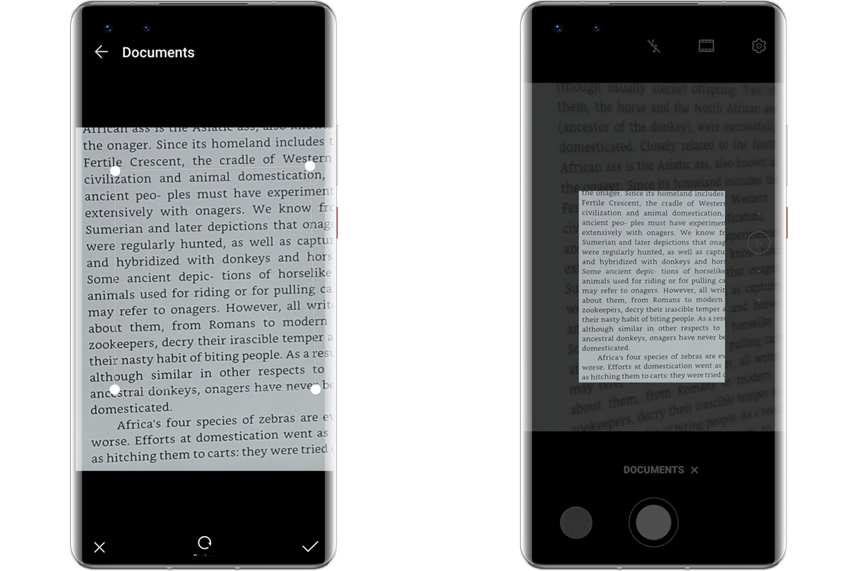 p-styleimg-srchttpsiforum-dechihonorcomfrdataimages202122c5b4762a-08c7